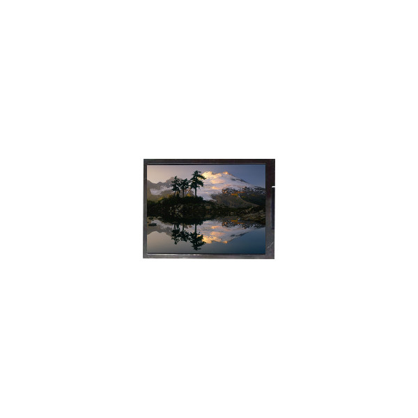 F050A19-6T1 5,0 inch 720*1280 LCD-scherm voor mobiele telefoon