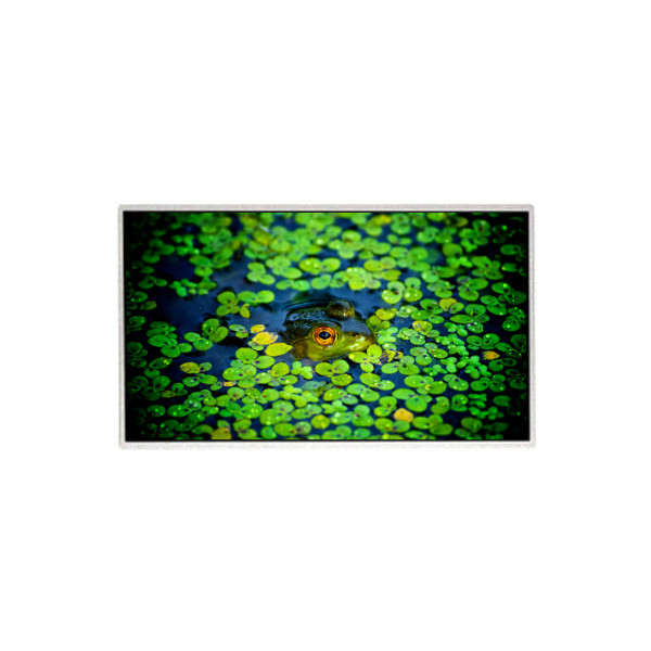 HR236WU3-301 23,6 inch 1920*1080 LCD-scherm voor desktopmonitor