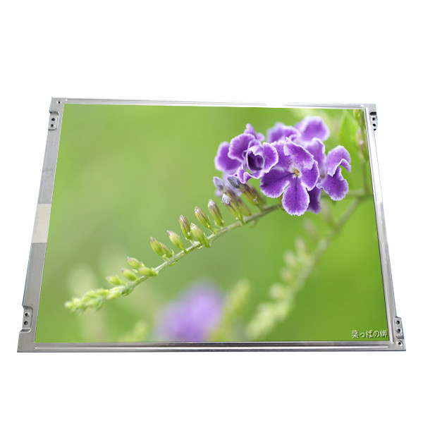 15 Duim van AUO LCD het Scherml150x3m EG-1 de Vertonings Antiglare Oppervlakte van 1024*768 LCD