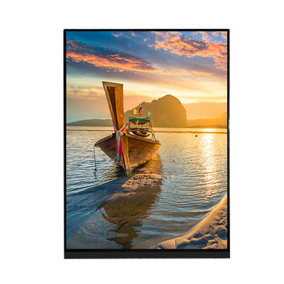 Goede prijs 7,9 de Vertoningscomité LQ079L1SX01 van het Duim1536×2048 LCD Scherm voor IPad Mini 2 3 online