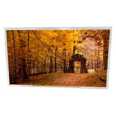 Goede prijs LM185TT1A LCD de Vertoningsvervanging 18,5 Duim 1366x768 van het Monitorstouche screen online