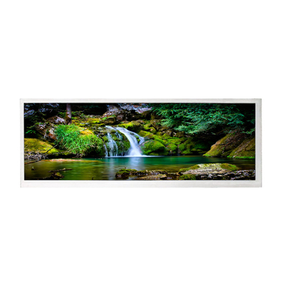 Goede prijs 10,3 inch 1920 * 720 LCD-schermpaneel HSD103JPW2-A00 online