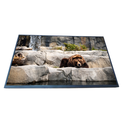 Goede prijs Het originele Scherm EV238FHM-N13 van BOE LCD 23,8 de Vertoning van de duimresolutie 1920*1080 LCD online