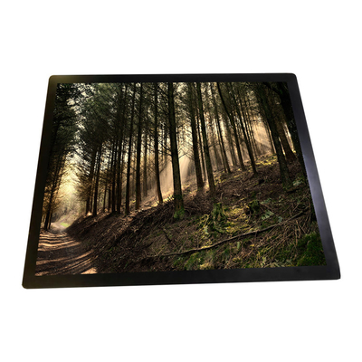 Goede prijs R190ECE-L01 LCD controleert 19,0 Duimlcd het Schermvertoning online