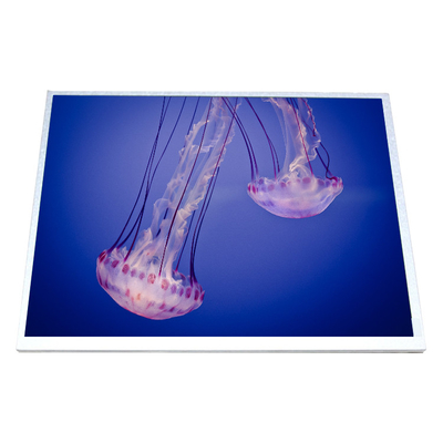 Goede prijs HSD100IXN1-A10 LCD-scherm 10,0 inch LCD-paneel online