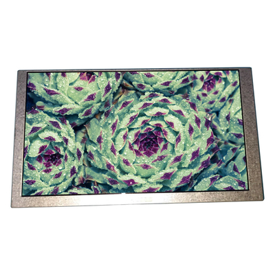 Goede prijs 6.2 inch HSD062IDW1-B00-C00 lcd-paneel 800*480 LCD-scherm online