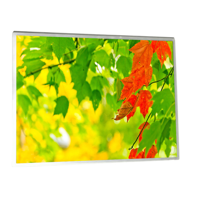 Goede prijs HSD121PX11-A00 Nieuw 12,1 inch 1024*768 LCD display HSD121PX11-A00 online