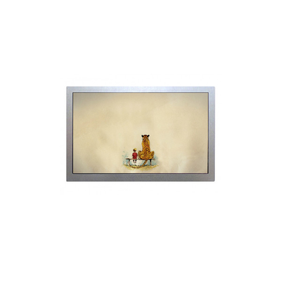 Goede prijs AA121TH11 LCD-scherm 12,1 inch display 1280*800 tft lcd module online