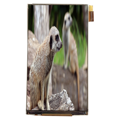 Goede prijs LQ055K3SX02 5,5 inch LCD-module Interface 720*1280 LCD-scherm voor autodisplay online