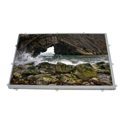 Goede prijs LQ101K1LY02 10,1 inch 1208*800 LCD Display LCD-paneel online