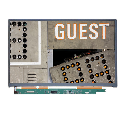 Goede prijs LQ108M1JW02 10,8 inch 1920*1080 tft LCD Panel LCD Display online