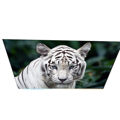 Goede prijs Industrie G270QAN02.0 27.0 inch 70 pins TFT LCD-paneel online