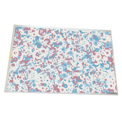 Goede prijs Grootte 10,1 inch G101EAN02.5 1280*800 149PPI LCD-paneel online
