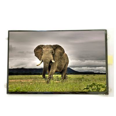 Goede prijs B101UAN01.9 10,1 inch 16,7M 52%NTSC LCD-scherm online