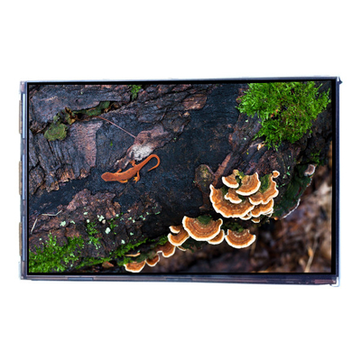 Goede prijs VVX07H005A00 7,0 inch 450 cd/m2 LCD-scherm display paneel online