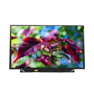 Goede prijs LT133EE10300 13,3 inch LVDS 262K LCD-schermpaneel voor laptop online