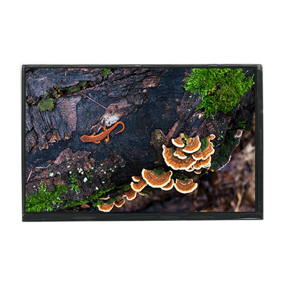 Goede prijs LTD121EA4Z 12,1 inch 1024*768 LCD-schermpaneel online