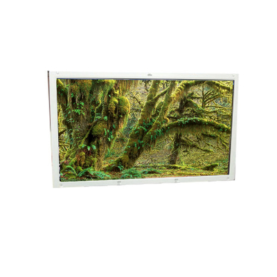Goede prijs Nieuw A101EW01 V0 10,1 inch 1280*800 LCD-scherm voor Netbook PC online