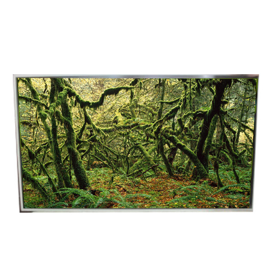 Goede prijs LD490EPY-SHP1 51 Pins 1920*1080 60Hz LCD-scherm voor digitale signage online