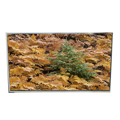 Goede prijs 49.0 inch 3840*2160 LD490EQG-FNA4 lcd-scherm voor digitaal signage online