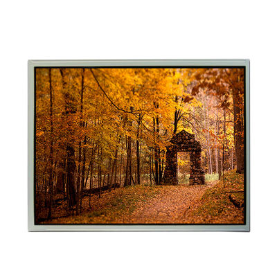 Goede prijs TCG150XGLBB-C00 15,0 inch 1024*768 LCD-scherm voor industrieel gebruik online