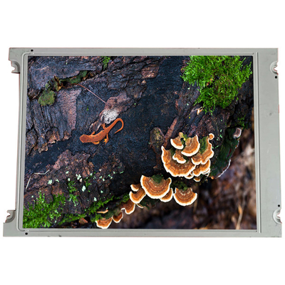 Goede prijs LM213XB 5,8 inch 256 * 64 lcd scherm display panel voor industriële online