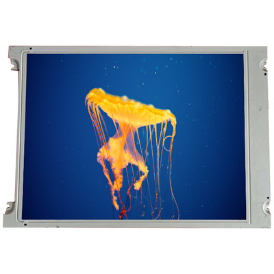 Goede prijs SX16H005-ZZA 6,2 inch 640*240 LCD schermpaneel voor industriële online