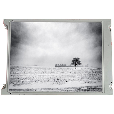 Goede prijs SX16H006 6,2 inch 640*240 LCD-schermpaneel voor industrieel gebruik online