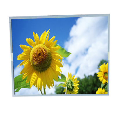 Goede prijs LM190E0A-SLE1 19,0 inch 1280*1024 industrieel LCD-schermpaneel online