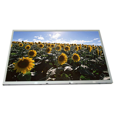 Goede prijs LM190E02-A4K7 19,0 inch LCD-paneel 1280*1024 LCD-display online