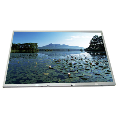 Goede prijs LM190E08-TLA1 Nieuwe 19,0 inch LCD-scherm online