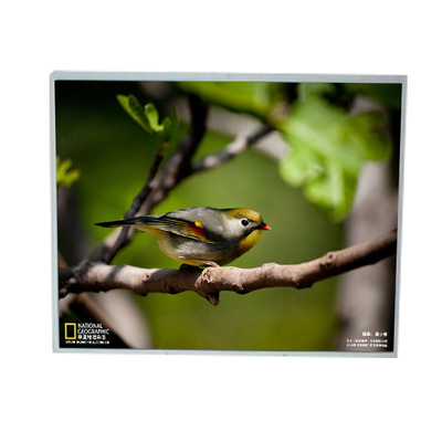 Goede prijs LM201U1-A3M1 20,1 inch 1600*1200 LCD scherm online