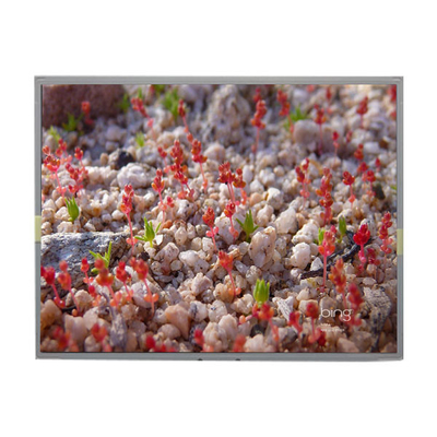 Goede prijs LM201WE2-SLBC TFT LCD-module 20,1 inch LCD-paneel voor LG online