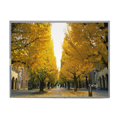 Goede prijs LM2013-WETLB1 20,1 inch LCD scherm 1680*1050 LCD display online