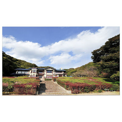 Goede prijs LM215WFA-SSE1 Touch LCD-scherm 1920*1080 FHD Voor Lenovo 01AG987 online