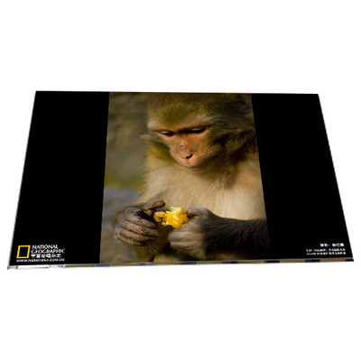 Goede prijs LM238WF6-SSA1 1920*1080 23,8 inch TFT LCD display modules paneel online