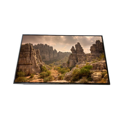 Goede prijs AV101HDM-N11 10,1 inch LCD-scherm LCD-display online