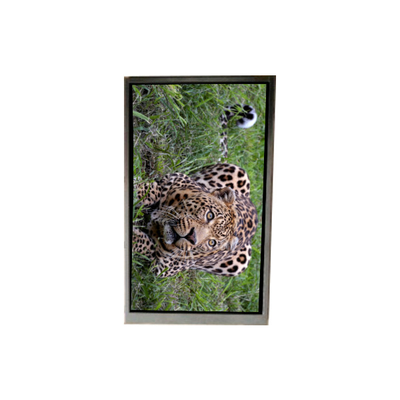 Goede prijs BA050WV4-600 5,0 inch 480*800 LCD scherm voor mobiele telefoon online