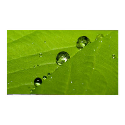 Goede prijs LM270WF9-SSA1 27.0 inch LCD-paneel 1920*1080 TFT LCD-display online