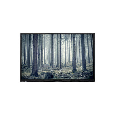 Goede prijs BP101WX2-100-3QP0 10,1 inch LCD-scherm LCD-display online