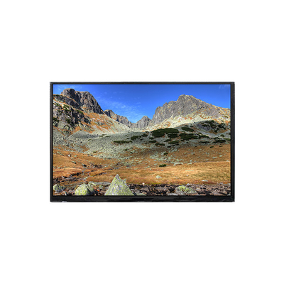 Goede prijs BP101WX7-210 10,1 inch LCD scherm LCD-scherm online