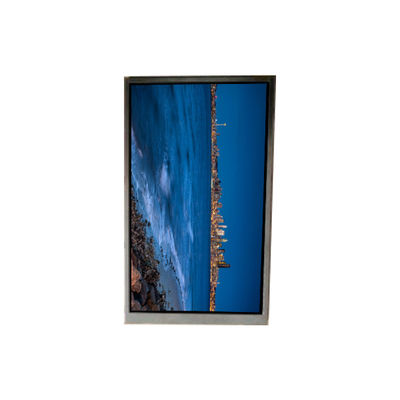 Goede prijs BS052FHG-N30-6C00 5,2 inch LCD Display LCD scherm PANEL online