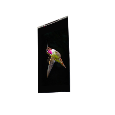 Goede prijs BS062FBE-L30-6Q00 6,3 inch LCD-scherm LCD-scherm PANEL Voor mobiele telefoon online