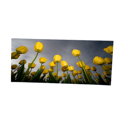Goede prijs LM340WW2-SSD1 34,0 inch 2560*1080 LCD scherm online