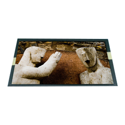 Goede prijs LP089WS1-TLB1 8,9 inch LCD Display Module voor LG online