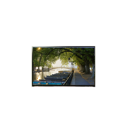 Goede prijs LP141WP1-TLE3 Originele 14,1 inch 1440*900 TFT LCD-scherm online