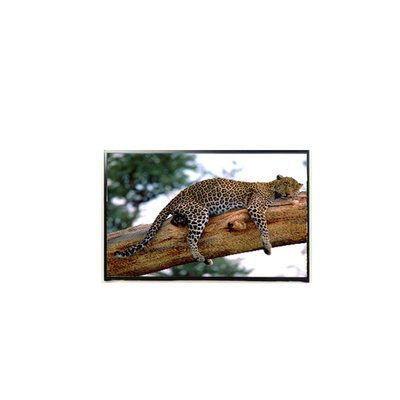 Goede prijs LP141WP1-TLE6 14,1 inch 60Hz LCD-scherm online