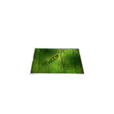 Goede prijs LP154WX5-TLA1 15,4 inch 1280*800 LCD-schermmodule voor laptop online
