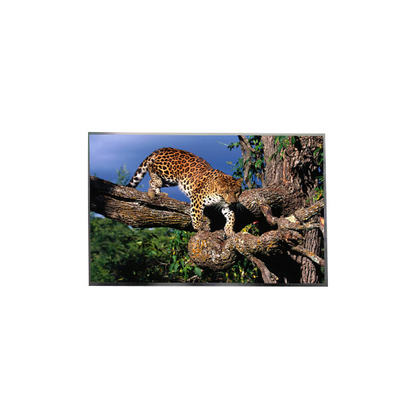 Goede prijs LP156WFC-SPD8 15,6 inch FHD IPS TFT LCD-scherm voor laptop online