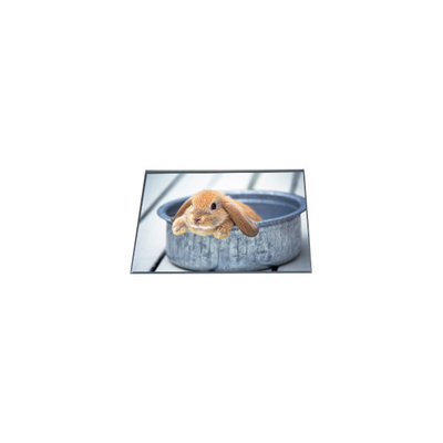 Goede prijs LB065WQ4-TD01 400*240 6,5 inch TFT LCD schermpaneel online